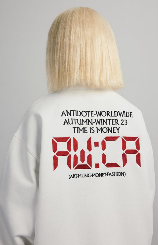 ANTIDOTE Half Zipper Embroidered Sweatshirt