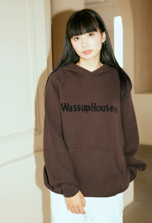 Wassup House Basic Logo Knit Hoodie