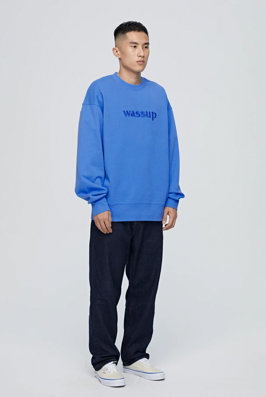 Wassup House 3D Embroidery Basic Logo Sweatshirt