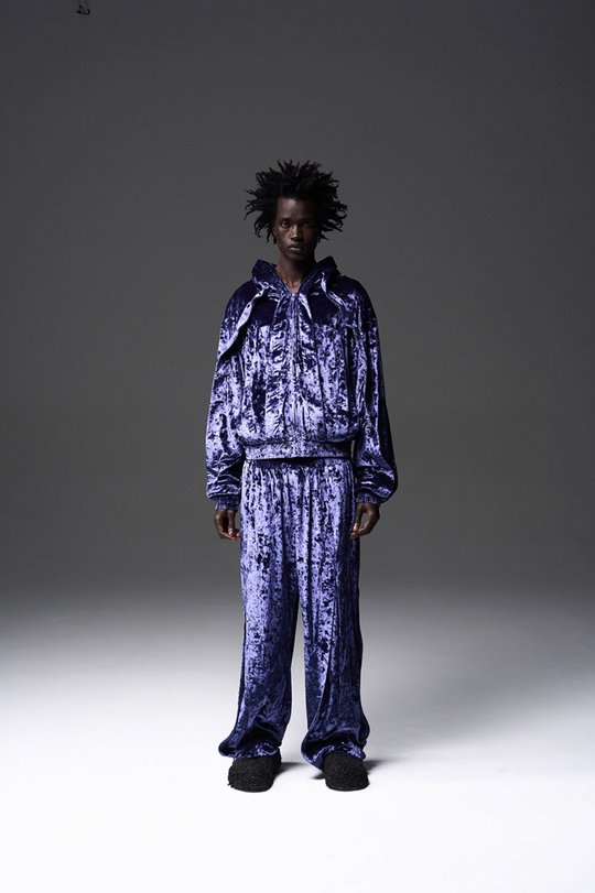 BLIND NO PLAN 3D Fly Hank Velvet Zipper Hoodie