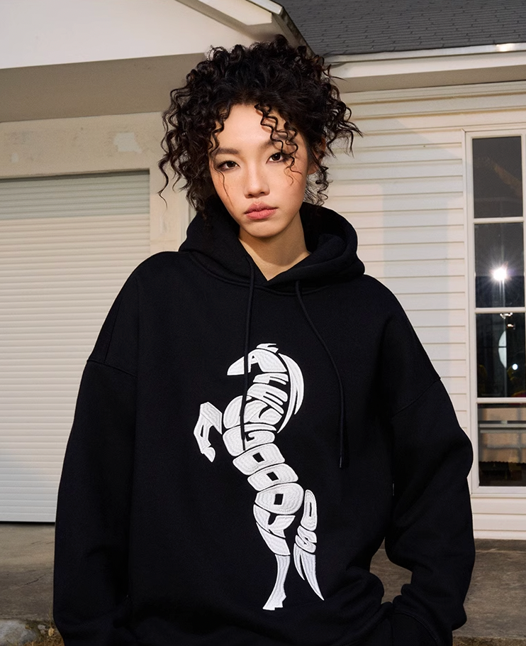 AFGK Morphing Font Horse Printed Embroidery Hoodie