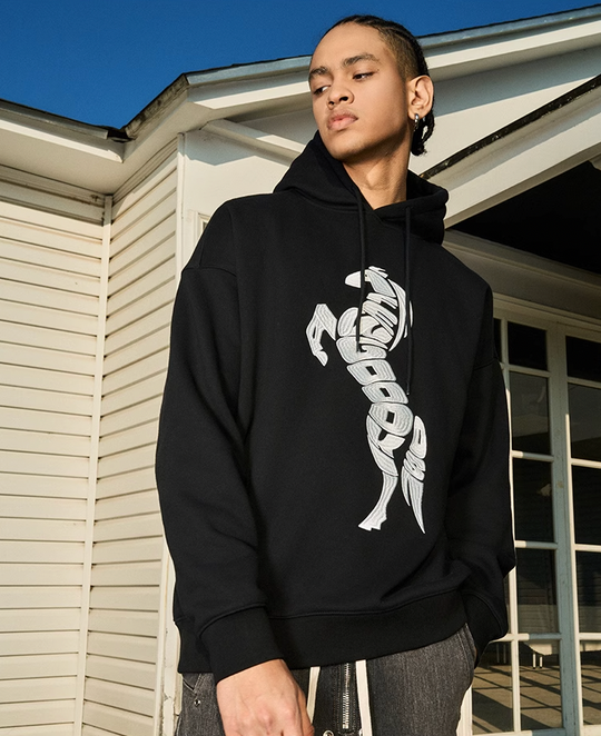 AFGK Morphing Font Horse Printed Embroidery Hoodie