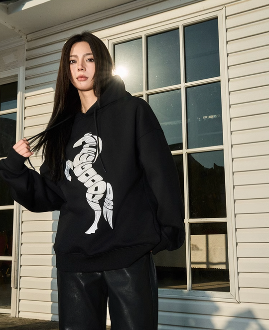 AFGK Morphing Font Horse Printed Embroidery Hoodie