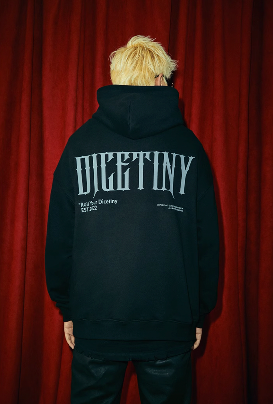 DICETINY Basic Back Logo Print Hoodie | Face 3 Face