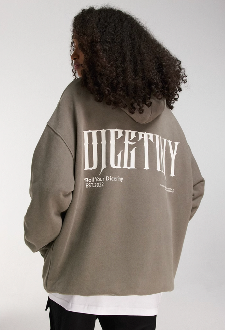 DICETINY Basic Back Logo Print Hoodie | Face 3 Face