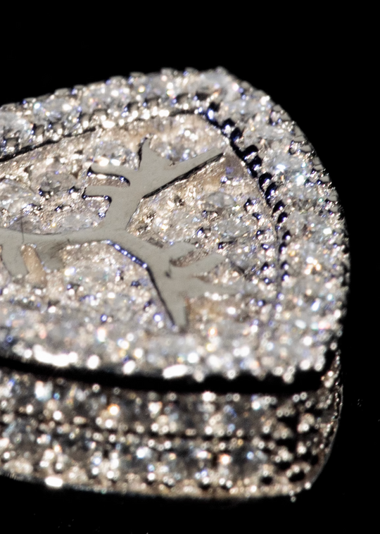 TGFCLUB Logo Moissanite Sterling Silver Earrings | Face 3 Face