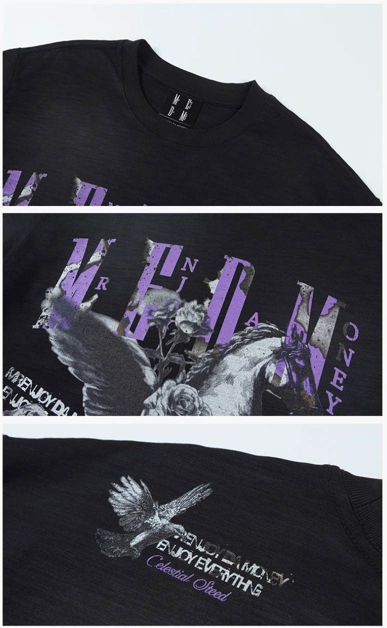 MEDM Pegasus Print Washed Tee | Face 3 Face