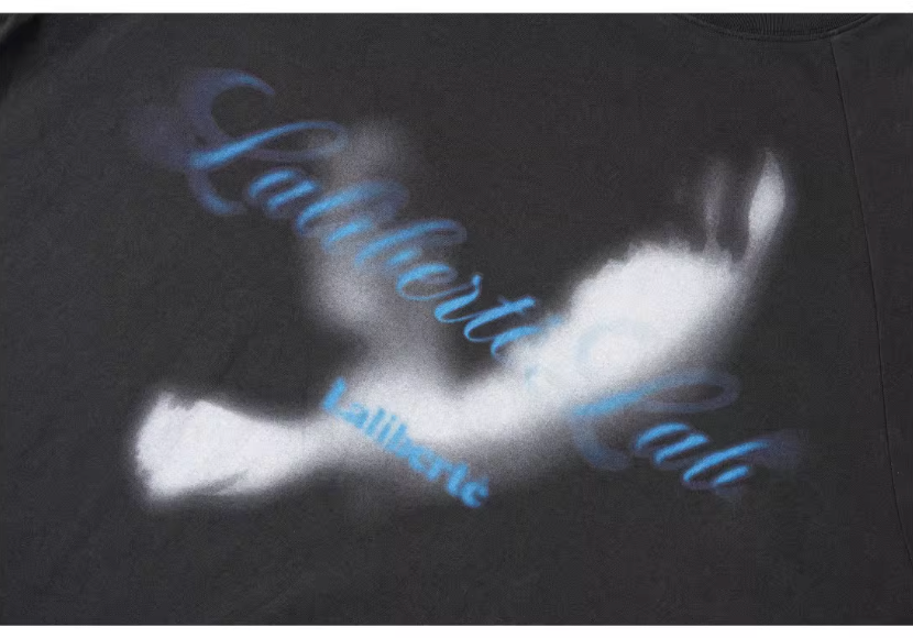 Labt Distressed Raglan Long Sleeve Tee | Face 3 Face