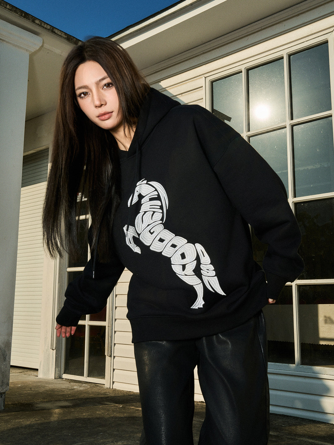 AFGK Morphing Font Horse Printed Embroidery Hoodie