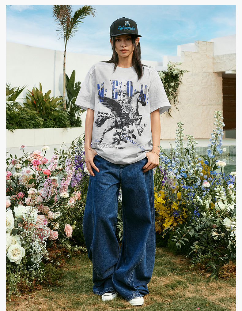 MEDM Pegasus Print Washed Tee | Face 3 Face