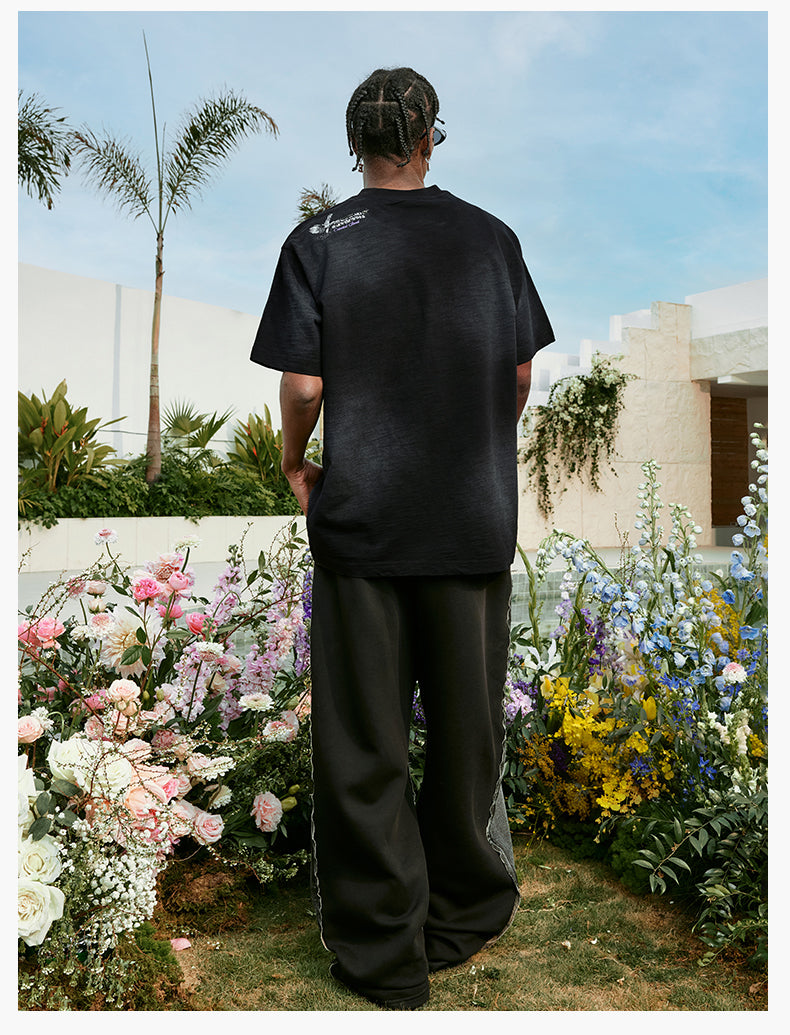 MEDM Pegasus Print Washed Tee | Face 3 Face