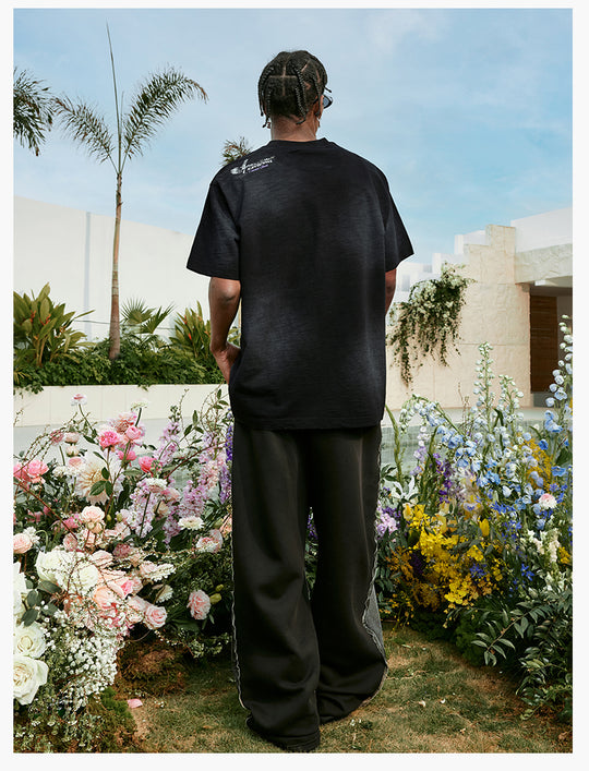 MEDM Pegasus Print Washed Tee | Face 3 Face