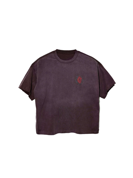LIBERAFIT Album Disc Graphic Washed Vintage Tee | Face 3 Face