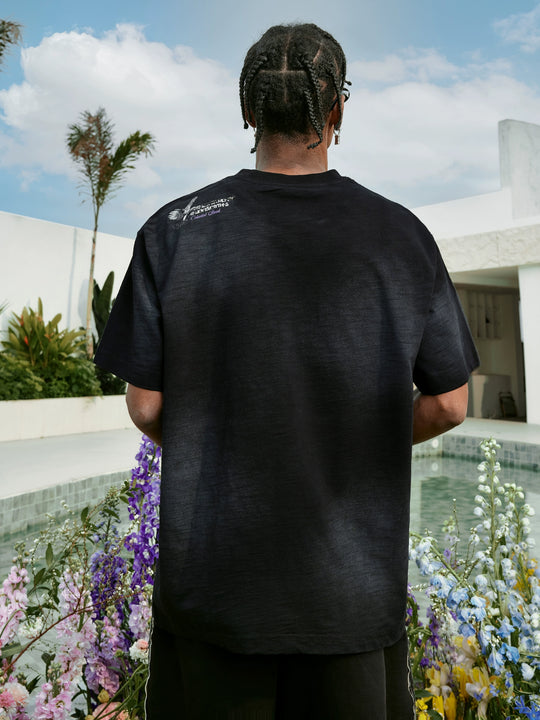 MEDM Pegasus Print Washed Tee | Face 3 Face