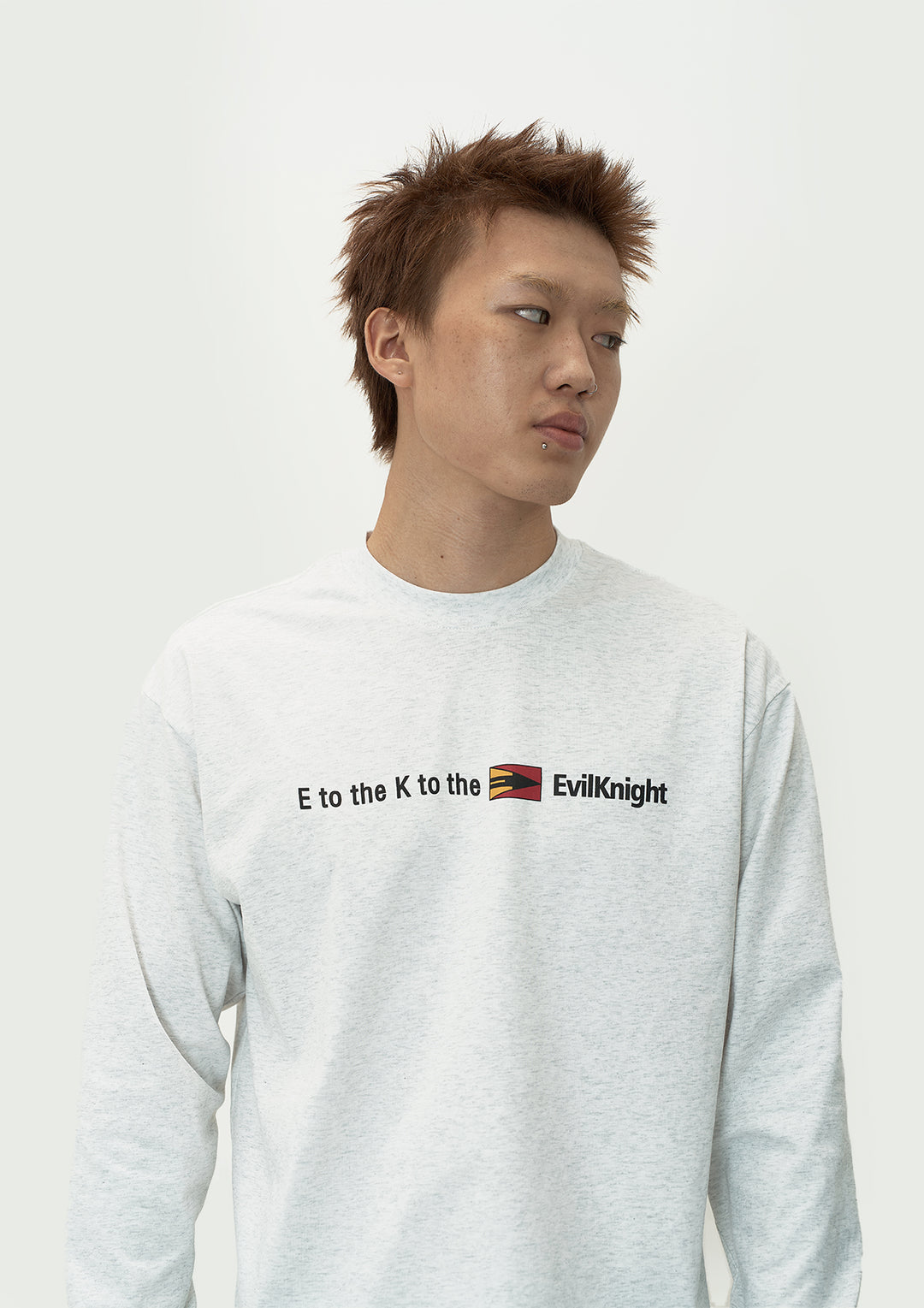 EVILKNIGHT(EK) Flag Logo Print Long Sleeve Tee | Face 3 Face
