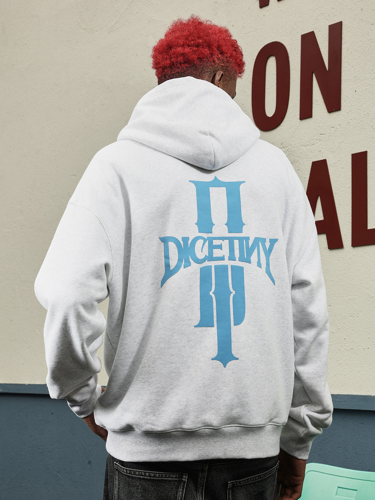 DICETINY Basic Logo Printed Hoodie | Face 3 Face