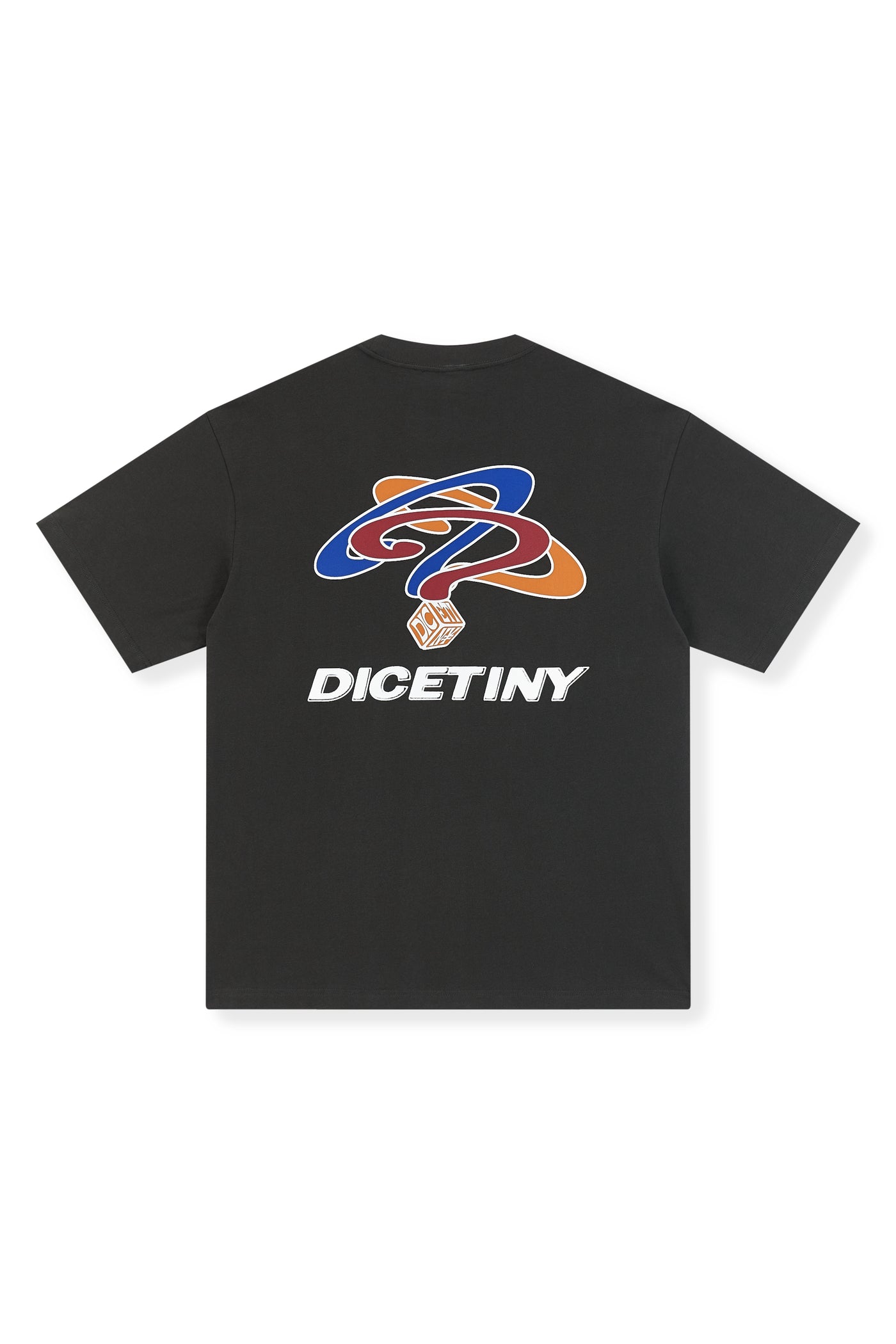 DICETINY Dice Question Mark Printed Tee | Face 3 Face