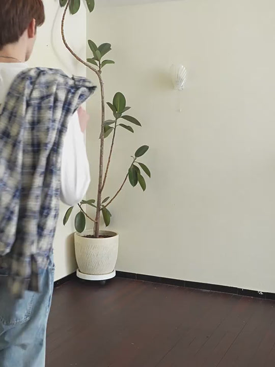 Harsh and Cruel Distressed Checkered Plaid Zipper Shirt