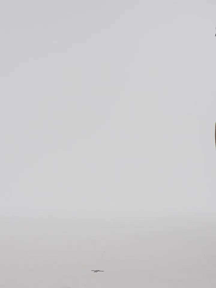 YADcrew Washed Ink Destruction Denim Jeans