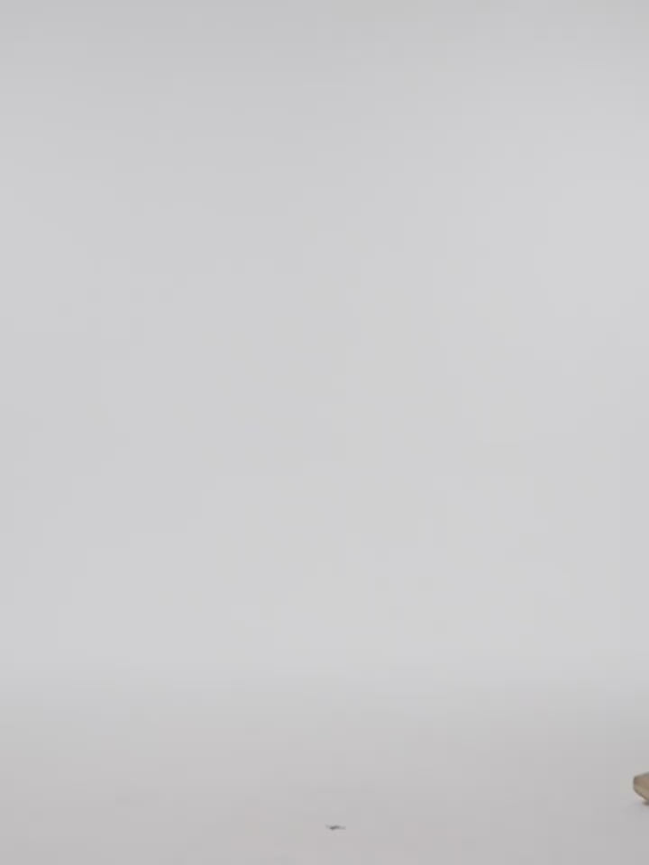 YADcrew Gradient Pleated Striped Shirt Jacket