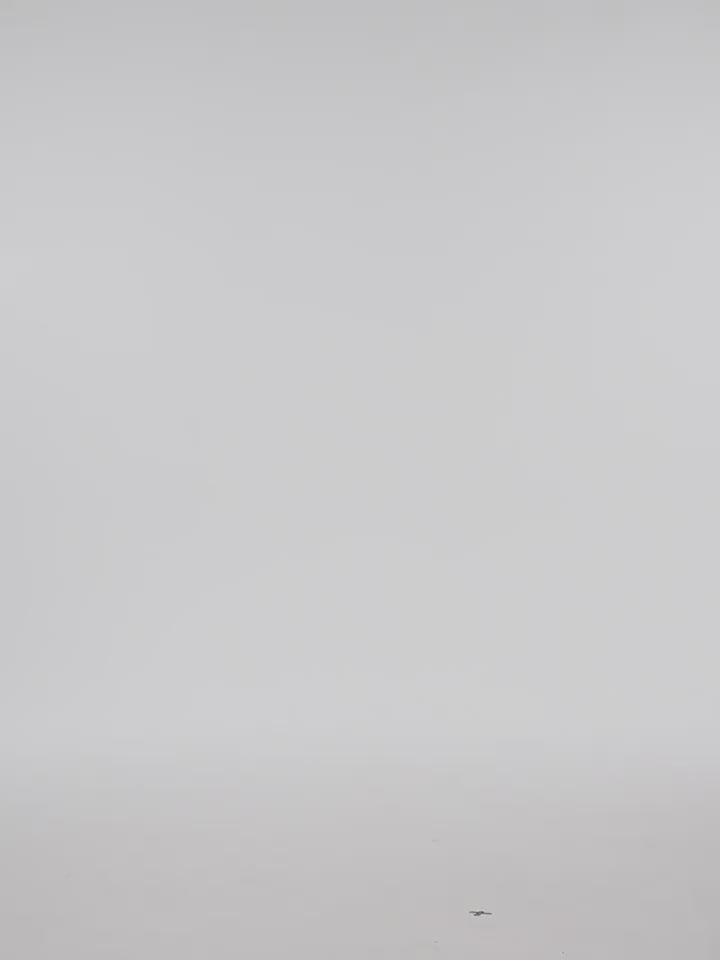 YADcrew Peace Dove 3D Foam Cutting Patch Jacket