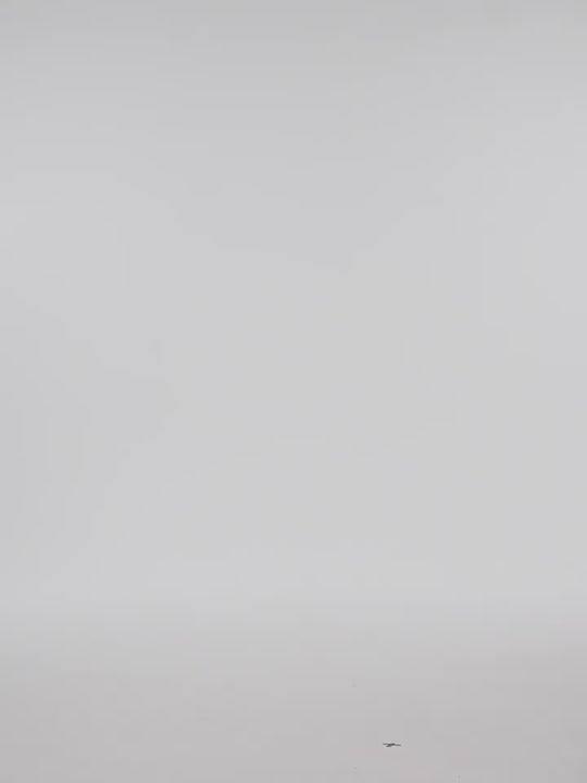 YADcrew Peace Dove 3D Foam Cutting Patch Jacket