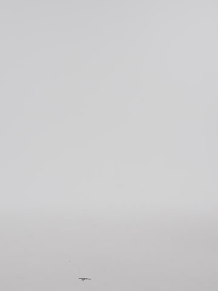 YADcrew White Splash Embroidered Denim Jeans