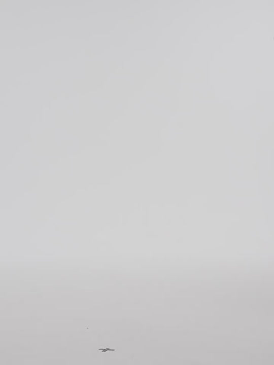 YADcrew White Splash Embroidered Denim Jeans