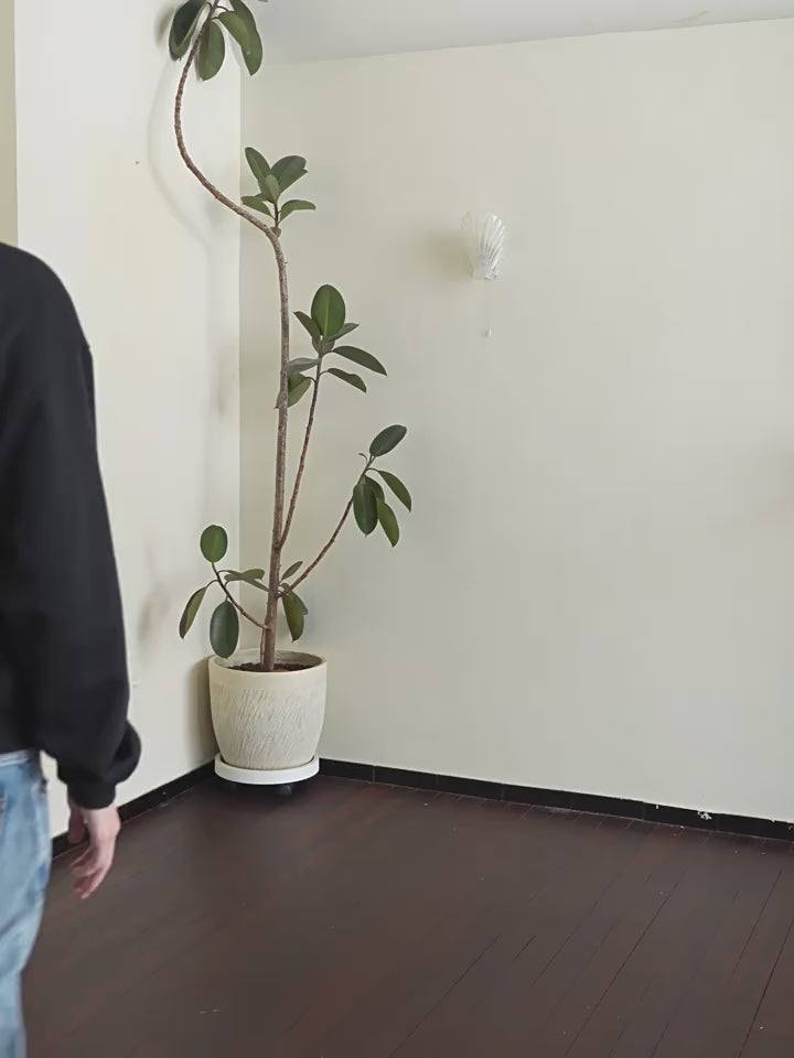 Harsh and Cruel Basic Embroidered Logo Hoodie