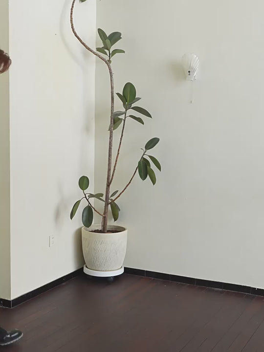 Harsh and Cruel Embroidered Logo Pullover Knit Sweater