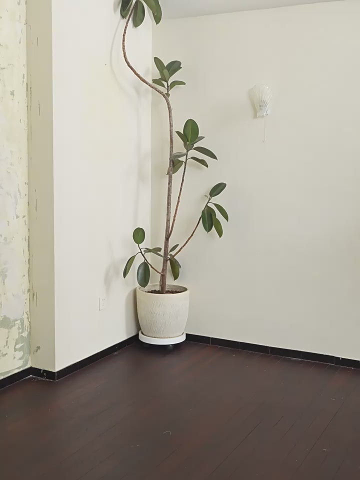 Harsh and Cruel Carabiner Down Vest