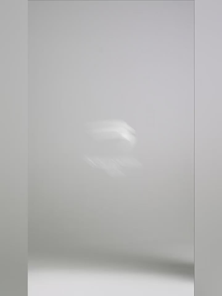 F2CE Washed Destruction Contrast Color Long Sleeve Tee