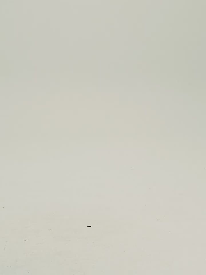 Wassup House Camouflage Old M51 Work Pants