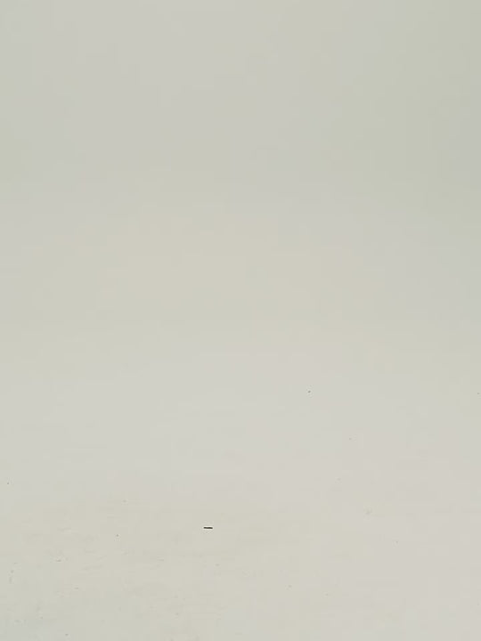 Wassup House Camouflage Old M51 Work Pants