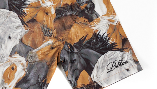 PRBLMS Fun Horse Galloping Short Sleeved Shirt