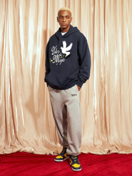 VOTE Magic Pigeon Hoodie