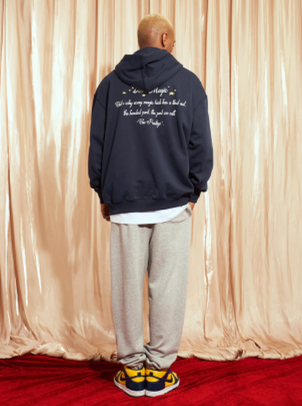 VOTE Magic Pigeon Hoodie