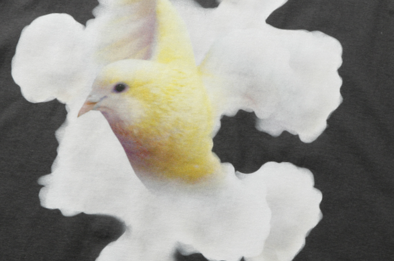 YADcrew White Cloud Dove Tee