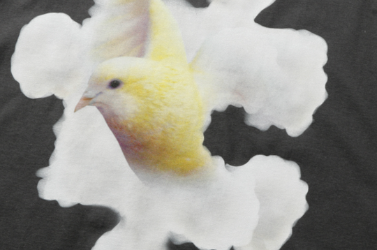 YADcrew White Cloud Dove Tee