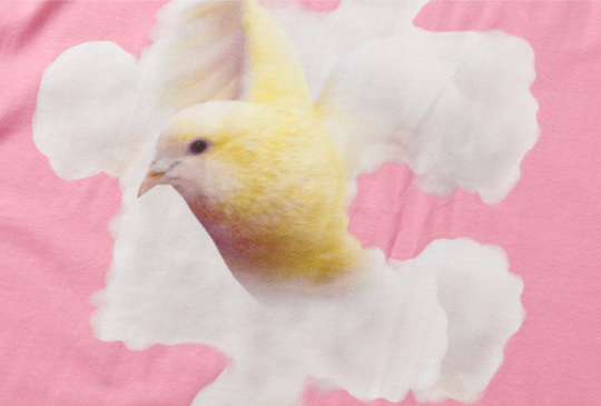 YADcrew White Cloud Dove Tee