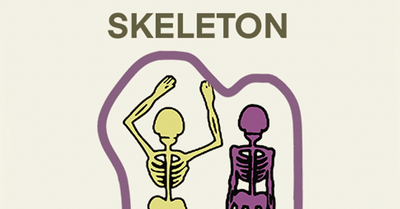 F3F Select Skeleton Skull Print Sweatshirts
