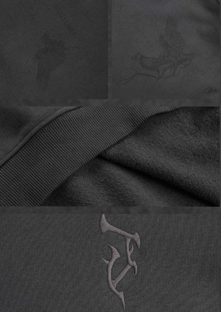 JHYQ Logo Embroidered Flying Bird Printed Hoodie