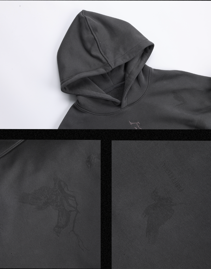 JHYQ Logo Embroidered Flying Bird Printed Hoodie