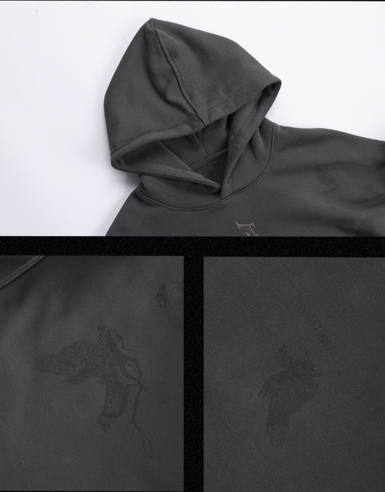 JHYQ Logo Embroidered Flying Bird Printed Hoodie